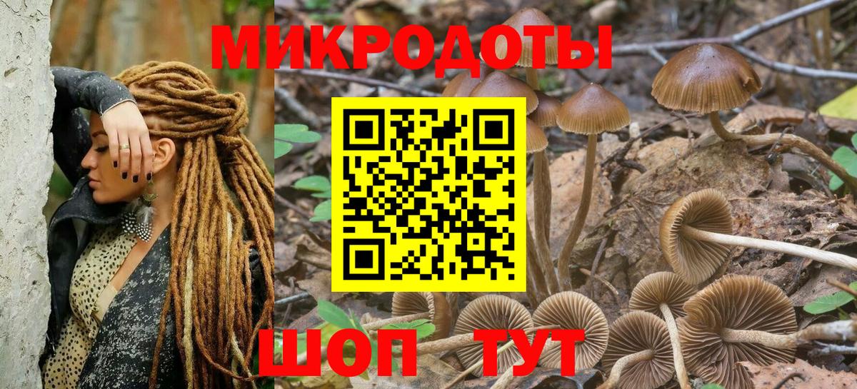 Псилоцибиновые грибы мицелий Волгодонск